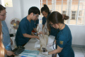 Korean Vet. Students @ Alaminos
