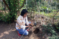 Tree Planting